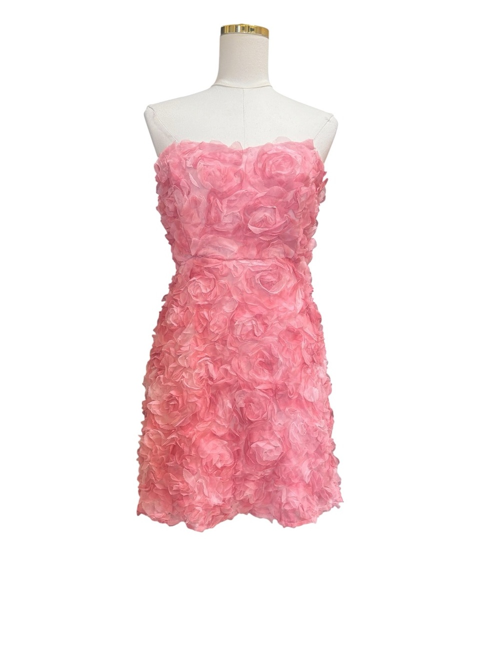 Selfie Leslie In Paris Pink 3D Rosette Strapless Mini Dress US XL AU 14 NWT - Picture 6 of 10